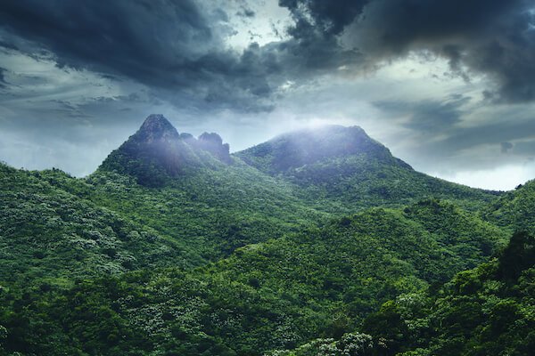 puerto rico el yunque forest