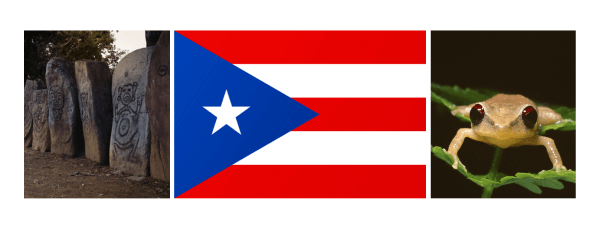 puerto rico flag header
