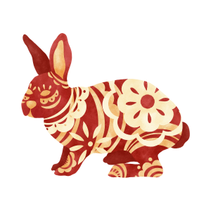 cny rabbit
