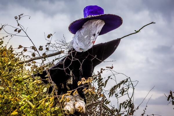 Sankt Hans bonfire - image by Stig Alenas