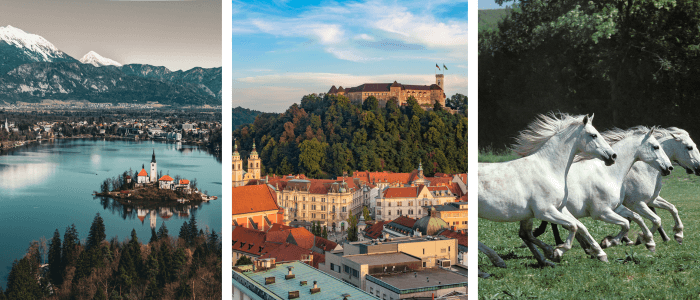 slovenia header