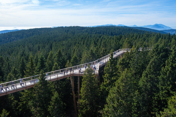 slovenia treetop walk