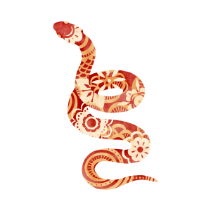 cny snake