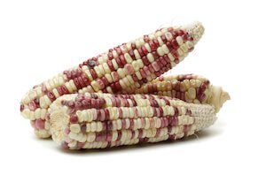 south america corn