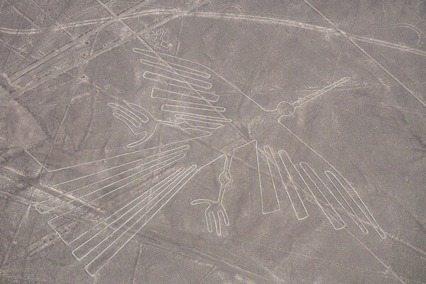 south america nazca lines condor