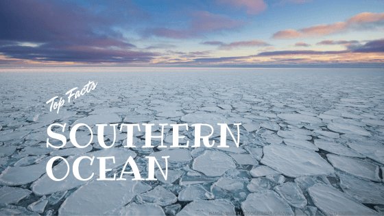 southern ocean facts