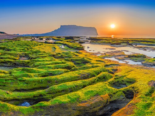 Jeju Island and Sunrise Peak