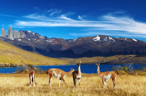 Torres del Paine National Park