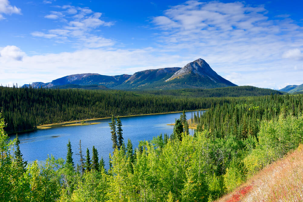 Canada landscape