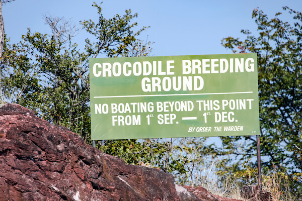 Crocodile warning at Lake Kariba