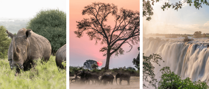 zimbabwe header